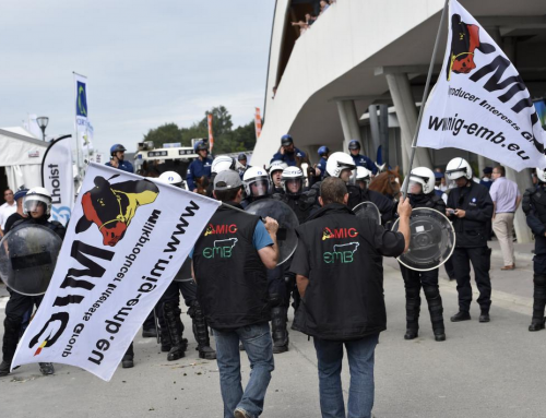 Mise en demeure des laiteries et des ministres en charge de l’agriculture par le MIG